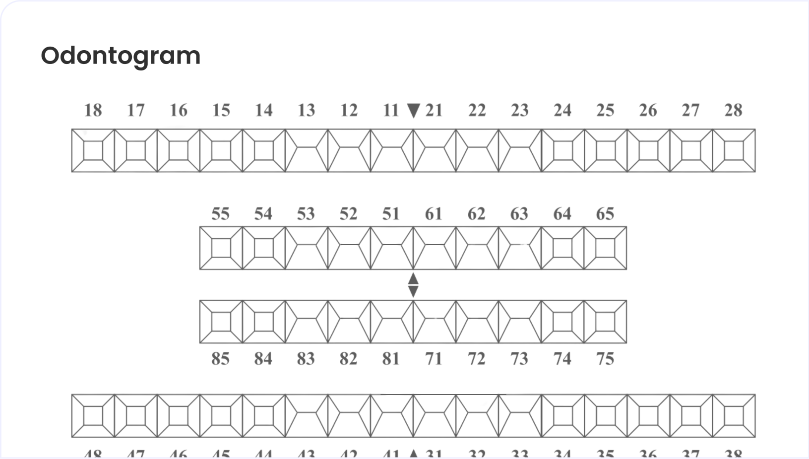 Mockup Odontogram